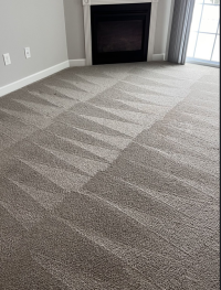 Fresh and Clean Delta Carpet Cleaning
