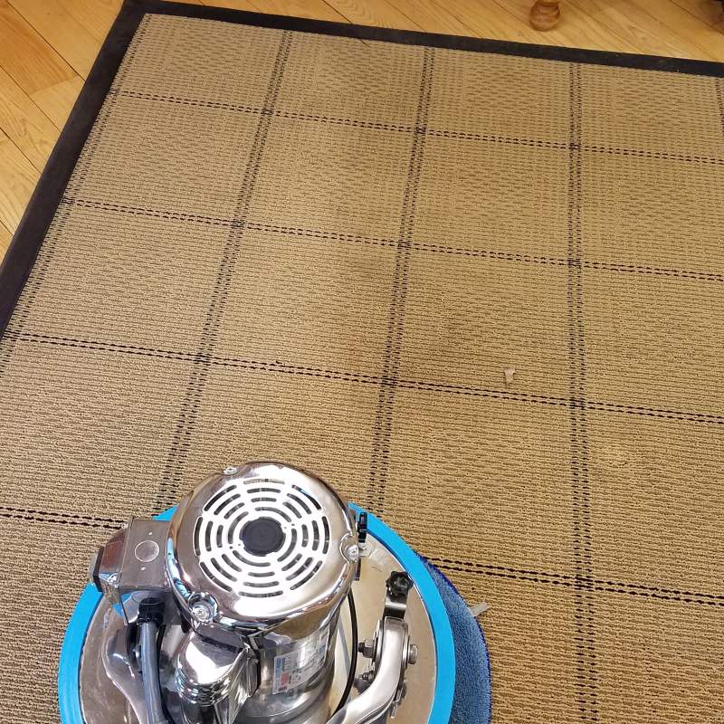 Low moisture carpet cleaning